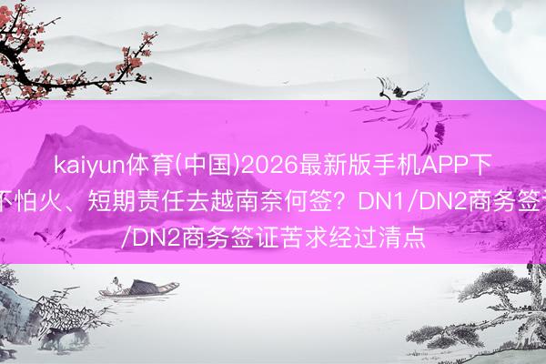 kaiyun体育(中国)2026最新版手机APP下载 商务磨真金不怕火、短期责任去越南奈何签？DN1/DN2商务签证苦求经过清点