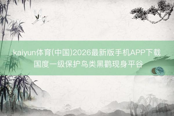 kaiyun体育(中国)2026最新版手机APP下载 国度一级保护鸟类黑鹳现身平谷