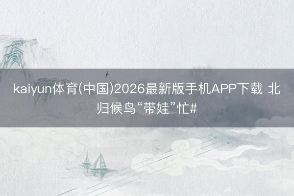 kaiyun体育(中国)2026最新版手机APP下载 北归候鸟“带娃”忙#