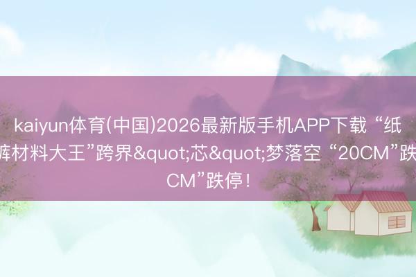 kaiyun体育(中国)2026最新版手机APP下载 “纸尿裤材料大王”跨界"芯"梦落空 “20CM”跌停！