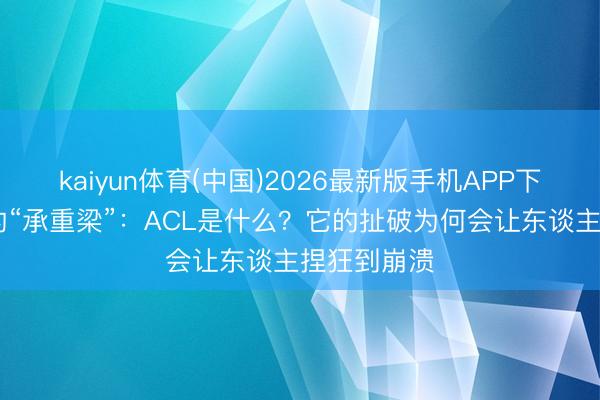 kaiyun体育(中国)2026最新版手机APP下载 膝盖里的“承重梁”：ACL是什么？它的扯破为何会让东谈主捏狂到崩溃