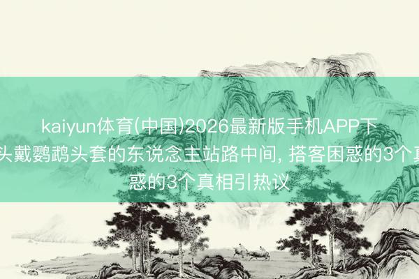 kaiyun体育(中国)2026最新版手机APP下载 巴西街头戴鹦鹉头套的东说念主站路中间， 搭客困惑的3个真相引热议