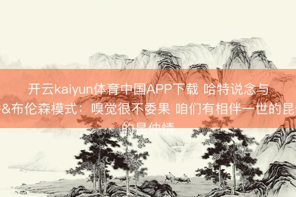 开云kaiyun体育中国APP下载 哈特说念与大桥&