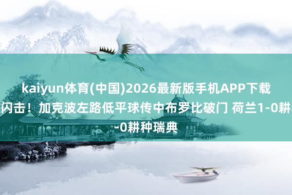 kaiyun体育(中国)2026最新版手机APP下载 5分钟闪击！加克波左路低平球传中布罗比破门 荷兰1-0耕种瑞典